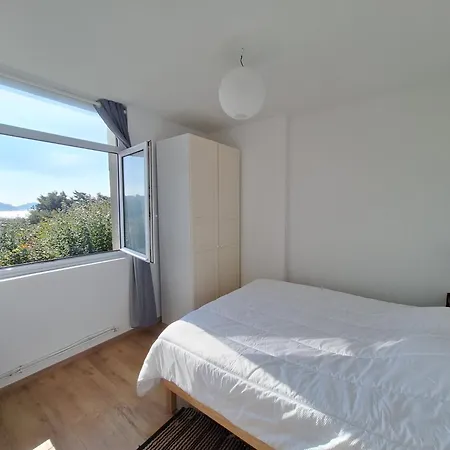 Les Chardons Bleus *